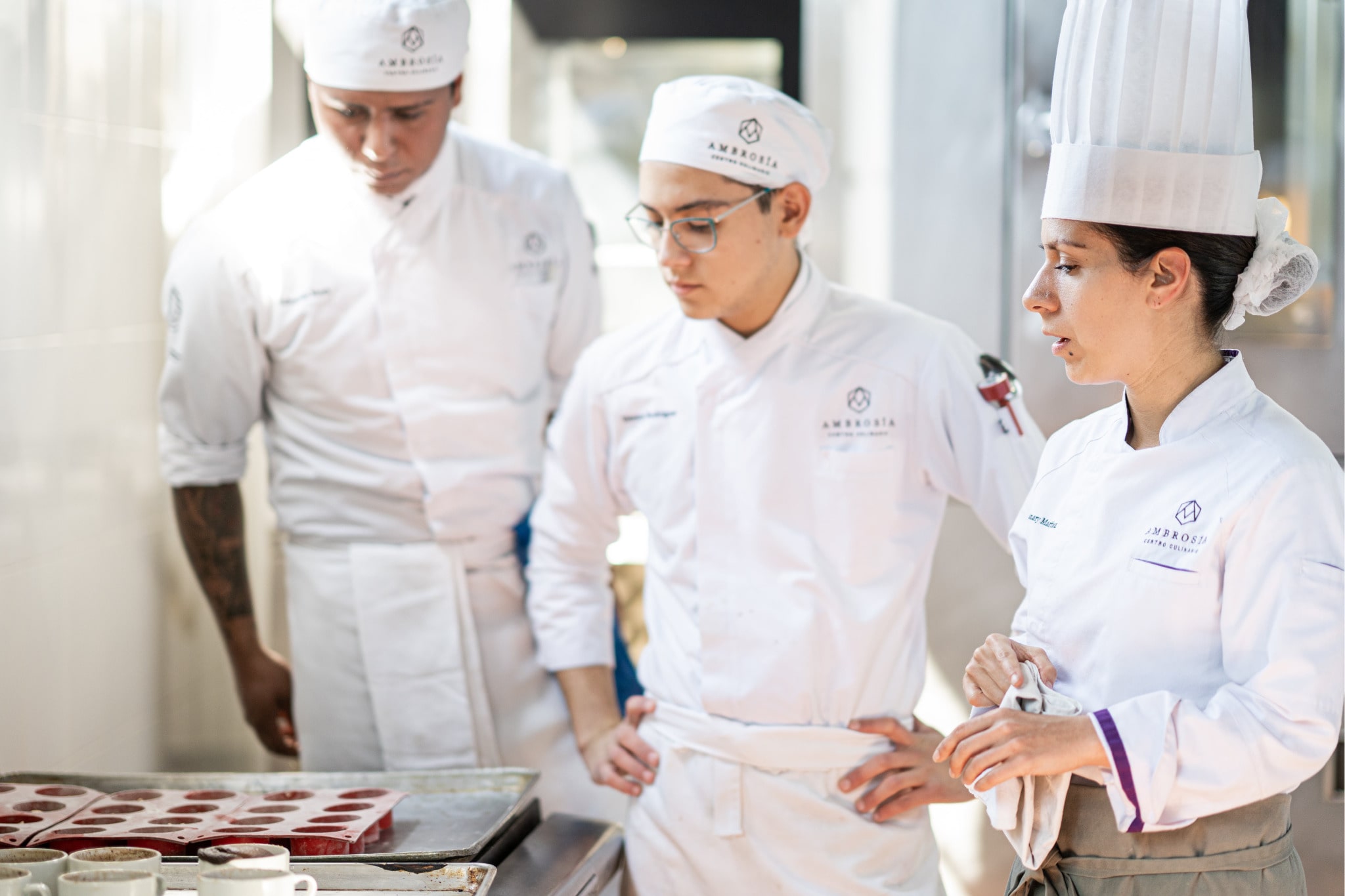 ¿Es buena idea estudiar gastronomía en 2026? Pros, contras y qué saber antes de elegir