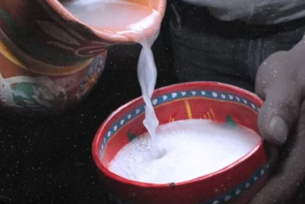 Vasija de barro con pulque, bebida fermentada tradicional mexicana de origen prehispánico