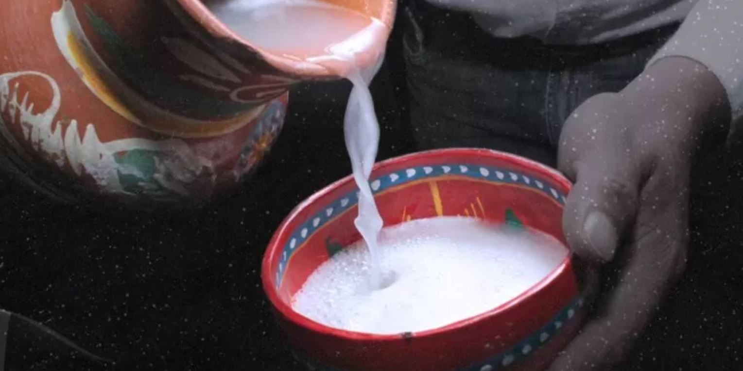 Alimentos Fermentados Prehispánicos: Historia, Beneficios y Usos Ancestrales